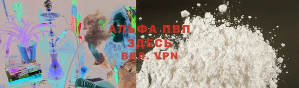 крисы Бородино