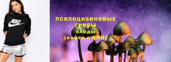 крисы Бородино