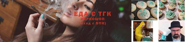 крисы Бородино