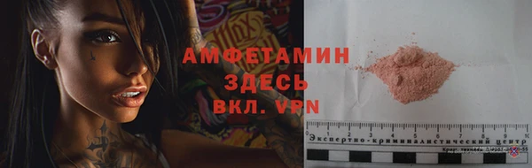 крисы Бородино