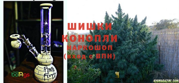 крисы Бородино