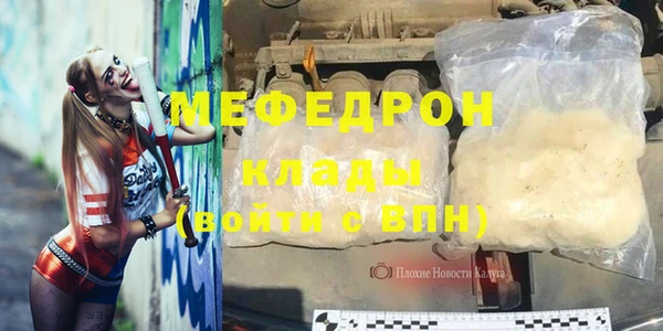 крисы Бородино