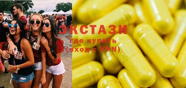 крисы Бородино
