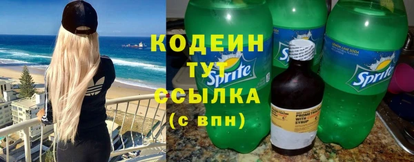 крисы Бородино