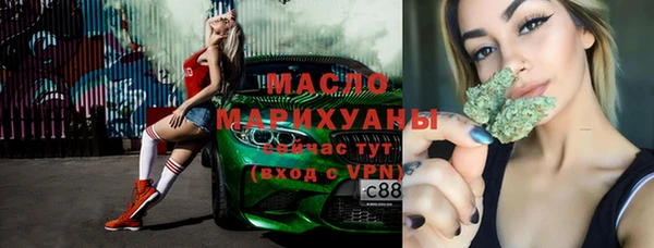 крисы Бородино