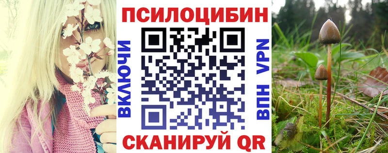 Галлюциногенные грибы Psilocybine cubensis  наркотики  Льгов 