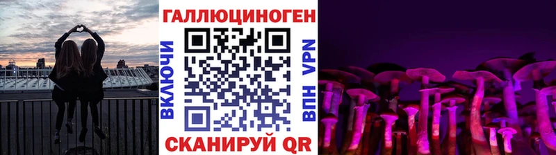Галлюциногенные грибы Psilocybe Льгов